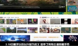 网络主播最新爆料平台,揭秘平台幕后真相