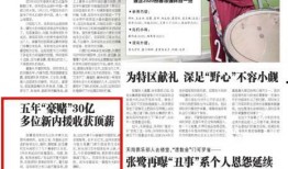 东方体育最新爆料,揭秘最新体育界重大事件内幕