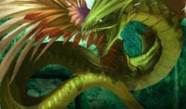 宠物女娲爆料视频,揭秘宠物界的奇幻世界