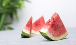 西瓜博物馆免费吃瓜,西瓜博物馆邀您体验瓜果盛宴