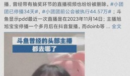 主播一条小团团被爆料的视频,揭秘网络主播背后的真相