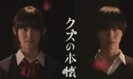 渣男的本愿真人版在线观看,爱恨交织的情感漩涡