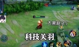 暴雪新皮肤最新爆料视频,炫酷特效，视觉盛宴！