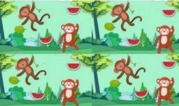 吃瓜的宝贝免费看全集,吃瓜宝贝带你领略全集魅力