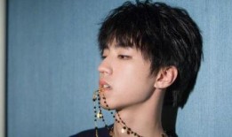 王俊凯爆料恋情事件视频,揭秘明星背后的甜蜜瞬间