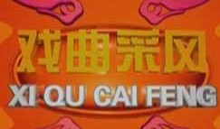 cctv一11在线直播观看,领略中华文化的魅力