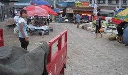 郑州车祸爆料新闻,悲剧现场直击，事故原因调查中