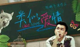 类似爱情电影在线观看,经典爱情电影线上盛宴