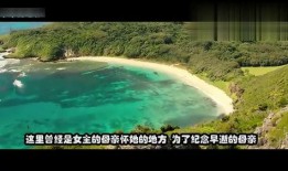 电影鲨滩土豆在线观看,惊险求生，海洋深处的生死较量