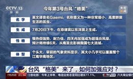 台风热点爆料新闻视频,热点爆料视频揭示惊人现场
