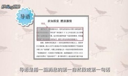 信息爆料新闻怎么写,新闻背后的真相与争议