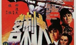 大刺客在线观看,在线重温江湖传奇