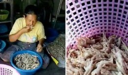 爆料鸡爪制作视频,自制美味鸡爪，跟随视频教程轻松学会！